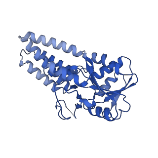 0649_6o81_G_v1-3
Electron cryo-microscopy of the eukaryotic translation initiation factor 2B bound to translation initiation factor 2 from Homo sapiens