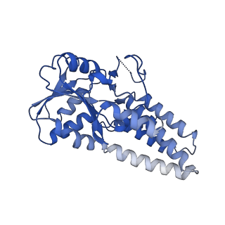 0649_6o81_H_v1-3
Electron cryo-microscopy of the eukaryotic translation initiation factor 2B bound to translation initiation factor 2 from Homo sapiens