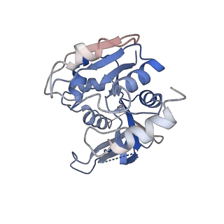 0649_6o81_I_v1-3
Electron cryo-microscopy of the eukaryotic translation initiation factor 2B bound to translation initiation factor 2 from Homo sapiens