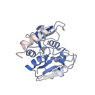 0649_6o81_J_v1-3
Electron cryo-microscopy of the eukaryotic translation initiation factor 2B bound to translation initiation factor 2 from Homo sapiens