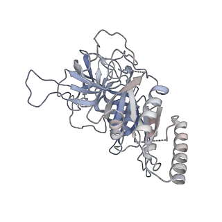 0649_6o81_S_v1-3
Electron cryo-microscopy of the eukaryotic translation initiation factor 2B bound to translation initiation factor 2 from Homo sapiens