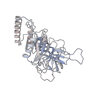 0649_6o81_T_v1-3
Electron cryo-microscopy of the eukaryotic translation initiation factor 2B bound to translation initiation factor 2 from Homo sapiens