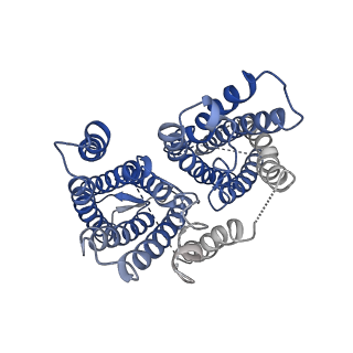 0650_6o84_A_v1-2
Cryo-EM structure of OTOP3 from xenopus tropicalis