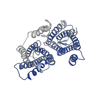 0650_6o84_B_v1-2
Cryo-EM structure of OTOP3 from xenopus tropicalis