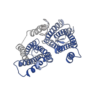 0650_6o84_B_v1-3
Cryo-EM structure of OTOP3 from xenopus tropicalis