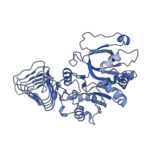 0651_6o85_A_v1-3
Electron cryo-microscopy of the eukaryotic translation initiation factor 2B bound to eukaryotic translation initiation factor 2 from Homo sapiens