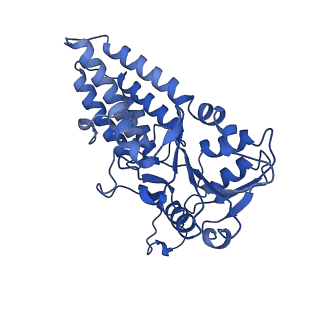 0651_6o85_C_v1-3
Electron cryo-microscopy of the eukaryotic translation initiation factor 2B bound to eukaryotic translation initiation factor 2 from Homo sapiens