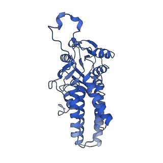 0651_6o85_D_v1-3
Electron cryo-microscopy of the eukaryotic translation initiation factor 2B bound to eukaryotic translation initiation factor 2 from Homo sapiens