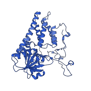 0651_6o85_E_v1-3
Electron cryo-microscopy of the eukaryotic translation initiation factor 2B bound to eukaryotic translation initiation factor 2 from Homo sapiens