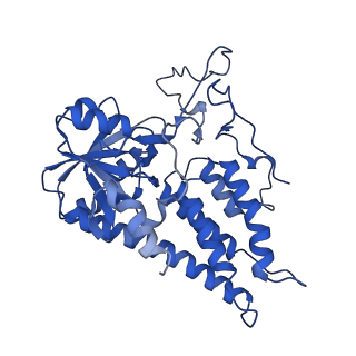 0651_6o85_F_v1-3
Electron cryo-microscopy of the eukaryotic translation initiation factor 2B bound to eukaryotic translation initiation factor 2 from Homo sapiens