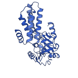 0651_6o85_G_v1-3
Electron cryo-microscopy of the eukaryotic translation initiation factor 2B bound to eukaryotic translation initiation factor 2 from Homo sapiens