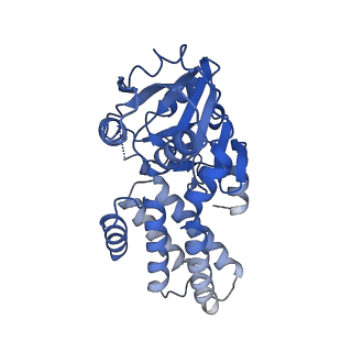 0651_6o85_H_v1-3
Electron cryo-microscopy of the eukaryotic translation initiation factor 2B bound to eukaryotic translation initiation factor 2 from Homo sapiens