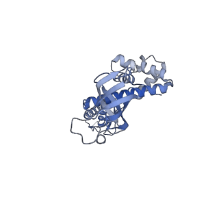 0651_6o85_L_v1-3
Electron cryo-microscopy of the eukaryotic translation initiation factor 2B bound to eukaryotic translation initiation factor 2 from Homo sapiens