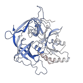 0651_6o85_S_v1-3
Electron cryo-microscopy of the eukaryotic translation initiation factor 2B bound to eukaryotic translation initiation factor 2 from Homo sapiens