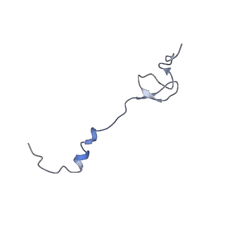 0656_6o8w_2_v1-2
Cryo-EM image reconstruction of the 70S Ribosome Enterococcus faecalis Class01