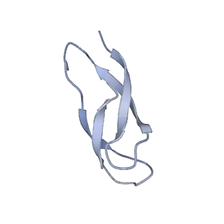 0656_6o8w_3_v1-2
Cryo-EM image reconstruction of the 70S Ribosome Enterococcus faecalis Class01