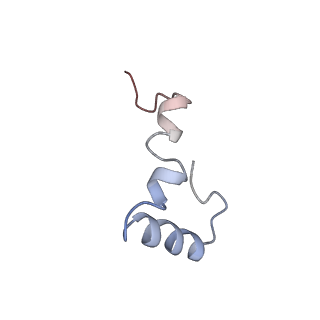 0656_6o8w_4_v1-2
Cryo-EM image reconstruction of the 70S Ribosome Enterococcus faecalis Class01