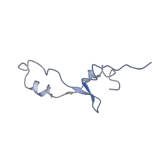 0656_6o8w_5_v1-2
Cryo-EM image reconstruction of the 70S Ribosome Enterococcus faecalis Class01