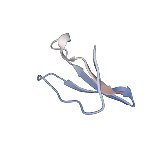 0656_6o8w_6_v1-2
Cryo-EM image reconstruction of the 70S Ribosome Enterococcus faecalis Class01