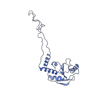 0656_6o8w_E_v1-2
Cryo-EM image reconstruction of the 70S Ribosome Enterococcus faecalis Class01