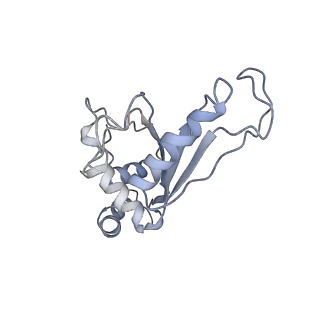 0656_6o8w_F_v1-2
Cryo-EM image reconstruction of the 70S Ribosome Enterococcus faecalis Class01