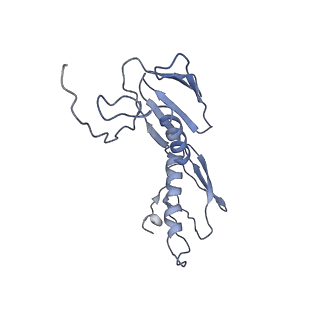 0656_6o8w_G_v1-2
Cryo-EM image reconstruction of the 70S Ribosome Enterococcus faecalis Class01