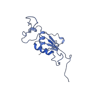 0656_6o8w_K_v1-1
Cryo-EM image reconstruction of the 70S Ribosome Enterococcus faecalis Class01