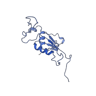 0656_6o8w_K_v1-2
Cryo-EM image reconstruction of the 70S Ribosome Enterococcus faecalis Class01