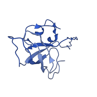 0656_6o8w_L_v1-2
Cryo-EM image reconstruction of the 70S Ribosome Enterococcus faecalis Class01