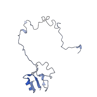 0656_6o8w_M_v1-1
Cryo-EM image reconstruction of the 70S Ribosome Enterococcus faecalis Class01