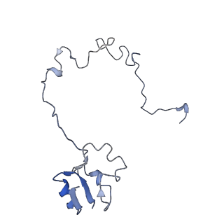 0656_6o8w_M_v1-2
Cryo-EM image reconstruction of the 70S Ribosome Enterococcus faecalis Class01