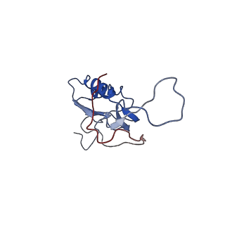 0656_6o8w_N_v1-2
Cryo-EM image reconstruction of the 70S Ribosome Enterococcus faecalis Class01