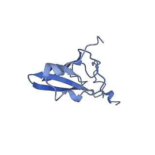 0656_6o8w_Q_v1-2
Cryo-EM image reconstruction of the 70S Ribosome Enterococcus faecalis Class01