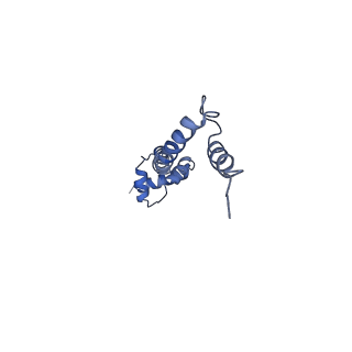 0656_6o8w_R_v1-2
Cryo-EM image reconstruction of the 70S Ribosome Enterococcus faecalis Class01