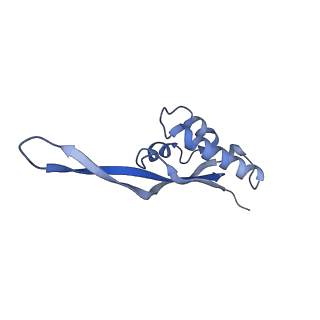 0656_6o8w_T_v1-2
Cryo-EM image reconstruction of the 70S Ribosome Enterococcus faecalis Class01