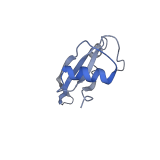 0656_6o8w_U_v1-2
Cryo-EM image reconstruction of the 70S Ribosome Enterococcus faecalis Class01