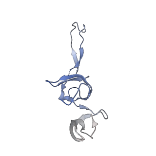 0656_6o8w_V_v1-2
Cryo-EM image reconstruction of the 70S Ribosome Enterococcus faecalis Class01