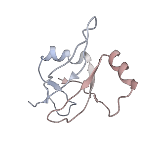 0656_6o8w_W_v1-1
Cryo-EM image reconstruction of the 70S Ribosome Enterococcus faecalis Class01