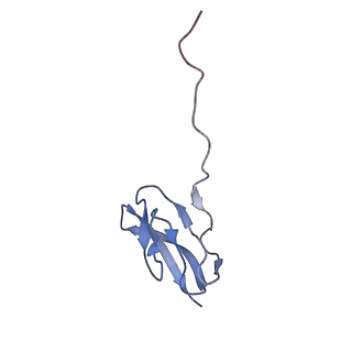 0656_6o8w_X_v1-1
Cryo-EM image reconstruction of the 70S Ribosome Enterococcus faecalis Class01