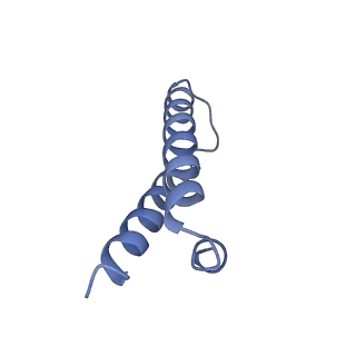 0656_6o8w_Z_v1-2
Cryo-EM image reconstruction of the 70S Ribosome Enterococcus faecalis Class01