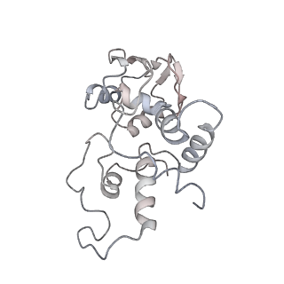 0656_6o8w_d_v1-2
Cryo-EM image reconstruction of the 70S Ribosome Enterococcus faecalis Class01