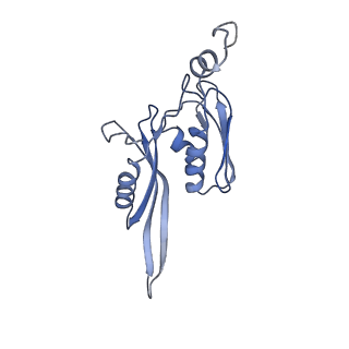 0656_6o8w_e_v1-2
Cryo-EM image reconstruction of the 70S Ribosome Enterococcus faecalis Class01