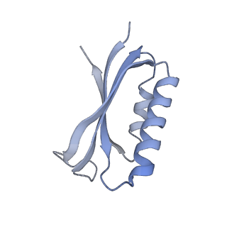 0656_6o8w_f_v1-2
Cryo-EM image reconstruction of the 70S Ribosome Enterococcus faecalis Class01