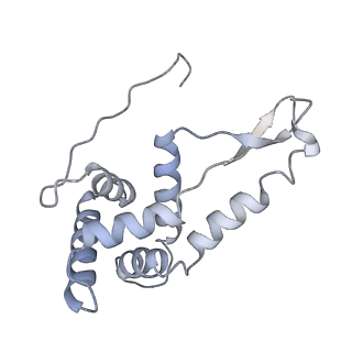 0656_6o8w_g_v1-2
Cryo-EM image reconstruction of the 70S Ribosome Enterococcus faecalis Class01