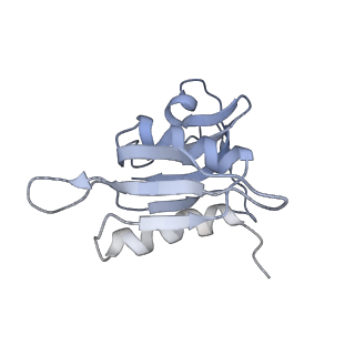 0656_6o8w_h_v1-1
Cryo-EM image reconstruction of the 70S Ribosome Enterococcus faecalis Class01