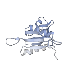 0656_6o8w_h_v1-2
Cryo-EM image reconstruction of the 70S Ribosome Enterococcus faecalis Class01