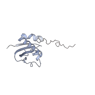 0656_6o8w_i_v1-2
Cryo-EM image reconstruction of the 70S Ribosome Enterococcus faecalis Class01