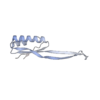 0656_6o8w_j_v1-2
Cryo-EM image reconstruction of the 70S Ribosome Enterococcus faecalis Class01