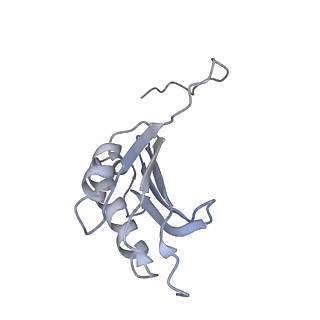 0656_6o8w_k_v1-2
Cryo-EM image reconstruction of the 70S Ribosome Enterococcus faecalis Class01