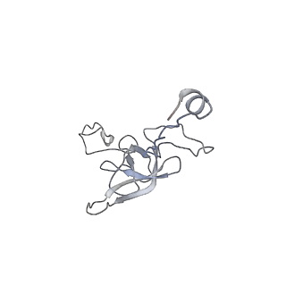 0656_6o8w_l_v1-1
Cryo-EM image reconstruction of the 70S Ribosome Enterococcus faecalis Class01